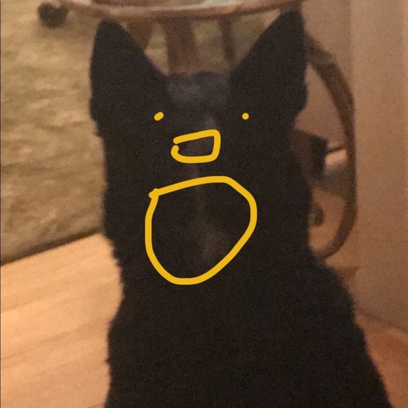 Meet your Posher, Kaitlin - Picture 1 of 1